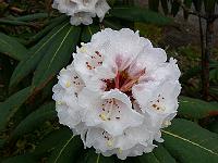 22-04-2006_07-20-08_160