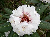 22-04-2006_08-01-17_17