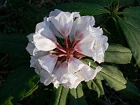 22-04-2006_19-30-51_07