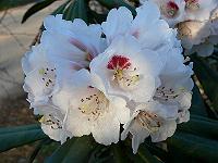22-04-2006_19-31-58_24