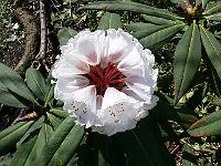 24-04-2006_15-16-36_52