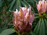 25-02-2008_13-48-05_23