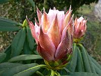 25-02-2008_13-48-10_25