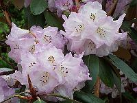04-05-05kodak_072