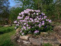 2011-04-24_07-52-28_0083