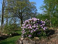 2011-04-24_07-52-58_0089
