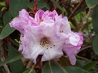 27-04-05canon_086