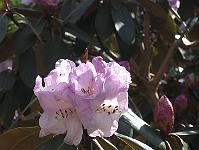 28-04-05canon_001
