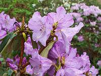04-05-05kodak_021