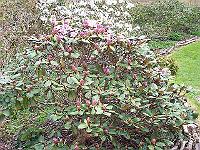 27-04-05canon_031