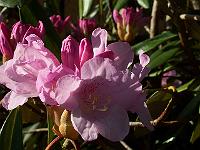 05-05-05kodak_063