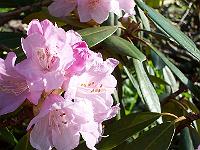 05-05-05kodak_065