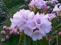 10-05-2006_07-02-42_23