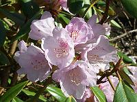 12-05-05kodak_124