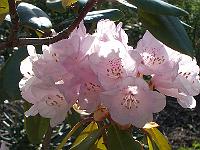 12-05-05kodak_128