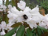 19-05-2006_07-17-59_40