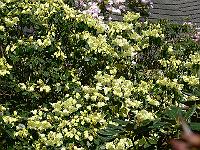 11-05-2006_11-39-58_102