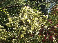 17-05-05kodak_164