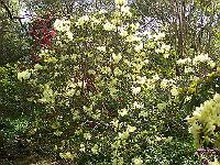 18-05-05kodak_232
