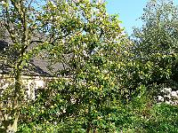 2011-05-06_07-49-19_0048