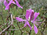 23-04-2007_09-16-59_45