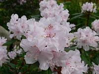 11-05-2007_11-45-47_13