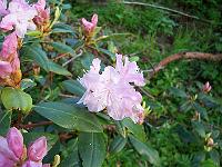 17-05-05kodak_168