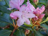 17-05-05kodak_170