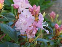 17-05-05kodak_173
