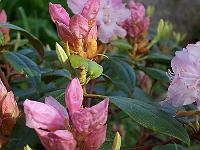 17-05-05kodak_174