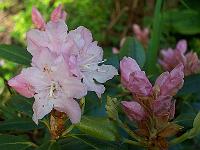 17-05-05kodak_176