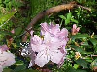 18-05-05kodak_058