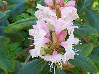 18-05-05kodak_059