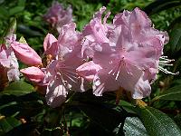 18-05-05kodak_060