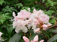 18-05-2006_17-11-18_127