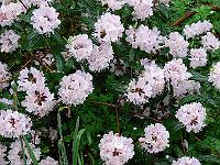 23-05-2006_09-08-47_13