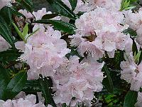 23-05-2006_09-08-59_16