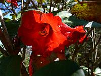 2011-04-14_11-04-21_0045