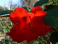 2011-04-14_11-04-36_0048