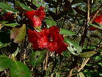 2011-04-17_17-43-03_0145