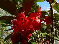 2011-04-17_17-43-35_0153