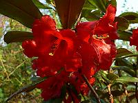 2011-04-19_17-31-07_0198