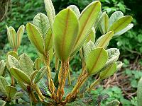 28-05-2007_11-53-58_87