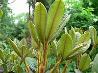 28-05-2007_11-54-09_90