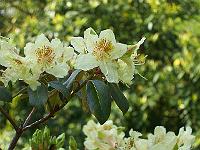 22-05-05kodak_117
