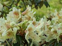 22-05-05kodak_118