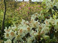 22-05-05kodak_119