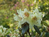 22-05-05kodak_121