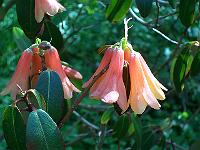 18-05-05kodak_194