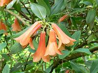 2009-05-14_15-10-04_0073